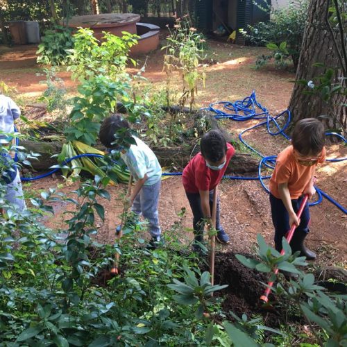 Cuidando do jardim