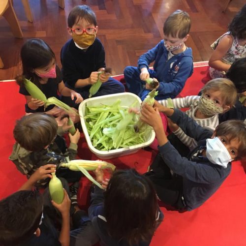 Preparando o lanche