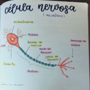 Caderno de biologia de aluno do 9o ano