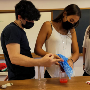 Alunos do 11o ano em experimento de DNA, na aula de biologia